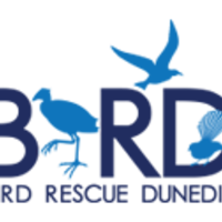Bird Rescue Dunedin Thumbnail